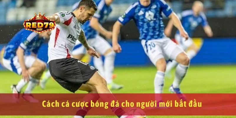 Cá Cược Bóng Đá Là Gì? Cách Bắt Đầu Từ Con Số 0 3 Cách cá cược bóng đá cho người mới bắt đầu