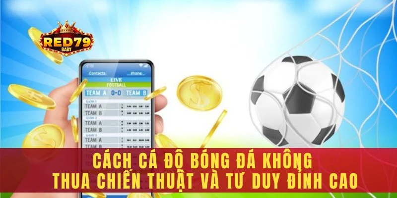 Cách cá độ bóng đá không thua
