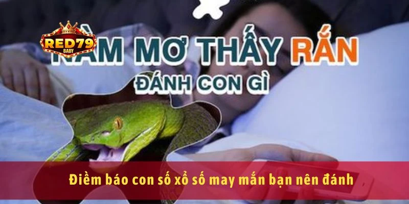 Điềm báo con số xổ số may mắn bạn nên đánh