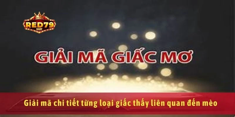 Nằm Mơ Thấy Mèo Là Điềm Gì? Giải Mã Giấc Mơ Chi Tiết 3 Giải mã chi tiết từng loại giấc thấy liên quan đến mèo