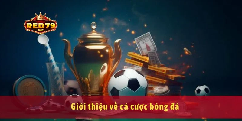Cá Cược Bóng Đá Là Gì? Cách Bắt Đầu Từ Con Số 0 2 Giới thiệu về cá cược bóng đá