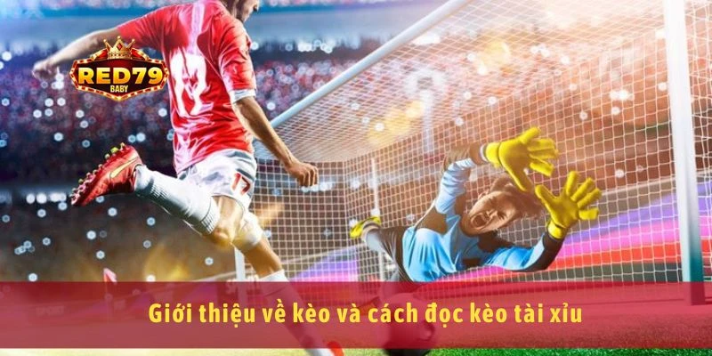 Cách Đọc Kèo Tài Xỉu Dễ Hiểu Cho Người Mới Cá Cược 2 Giới thiệu về kèo và cách đọc kèo tài xỉu