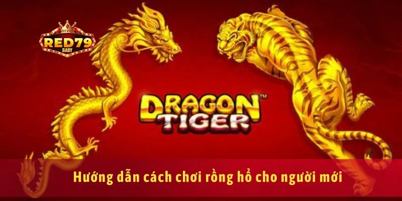 Cách Chơi Rồng Hổ Hiệu Quả Cho Người Mới Bắt Đầu 2025 3 Hướng dẫn cách chơi rồng hổ cho người mới