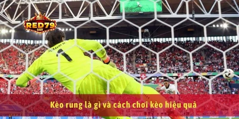 Kèo rung là gì cách chơi và kinh nghiệm bắt kèo rung 3 Kèo rung là gì và cách chơi kèo hiệu quả