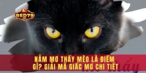 Nằm mơ thấy mèo