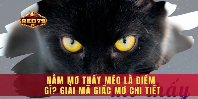 Nằm mơ thấy mèo