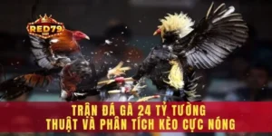 Trận đá gà 24 tỷ
