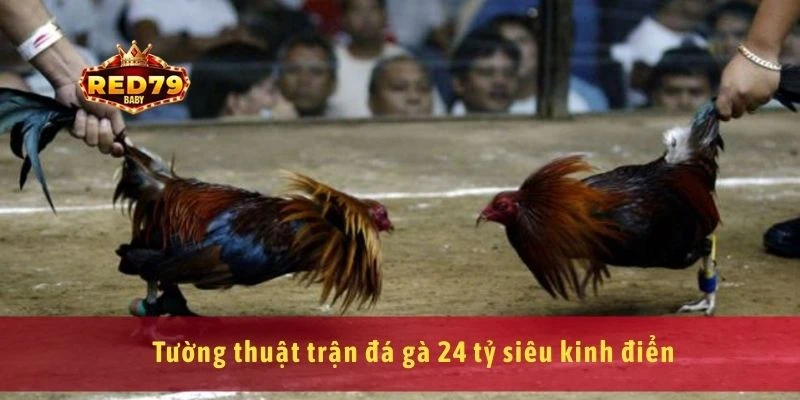 Trận Đá Gà 24 Tỷ Tường Thuật Và Phân Tích Kèo Cực Nóng 2 Tường thuật trận đá gà 24 tỷ siêu kinh điển